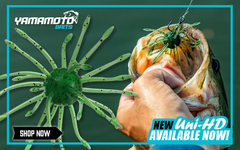 Shop the ALL-NEW Uni HD! 