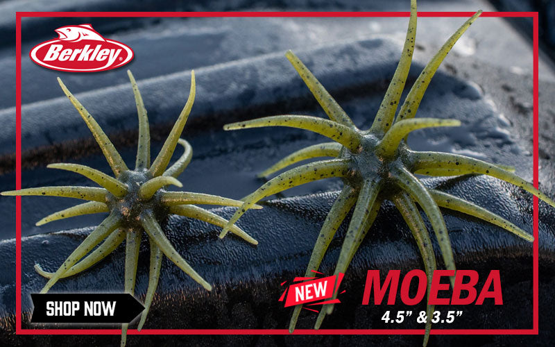 Shop NEW Berkley Moeba Here!