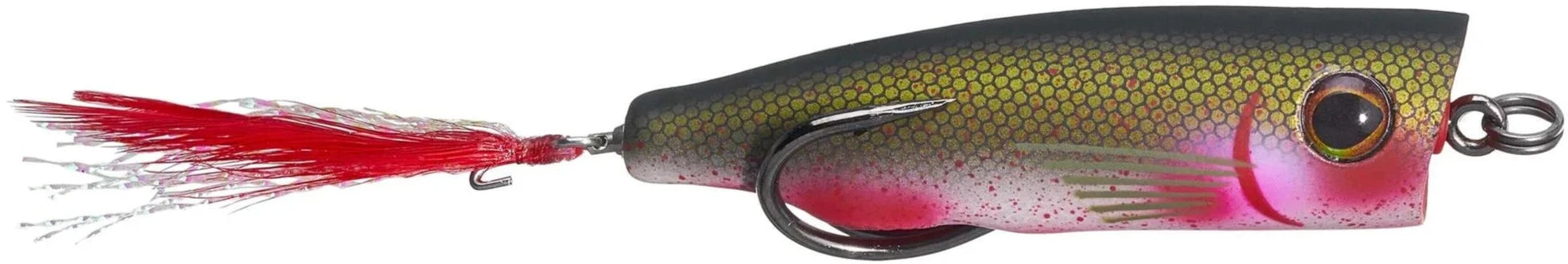 Snag Proof Zoo Pop Topwater Popper - 2.75 Inch — Discount Tackle Snag Proof Zoo Pop Topwater Popper - 2.75 Inch — Discount Tackle