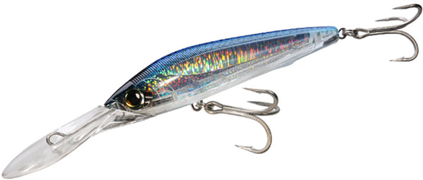 Blue_20Mackerel_765a047f-71ce-