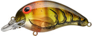 Blue Sage Craw
