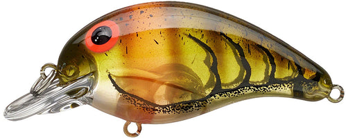 Blue Sage Craw