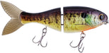 Bucca Trick Shad Glidebait - 6 Inch - DT Real Gill
