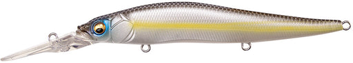 Chartreuse Shad