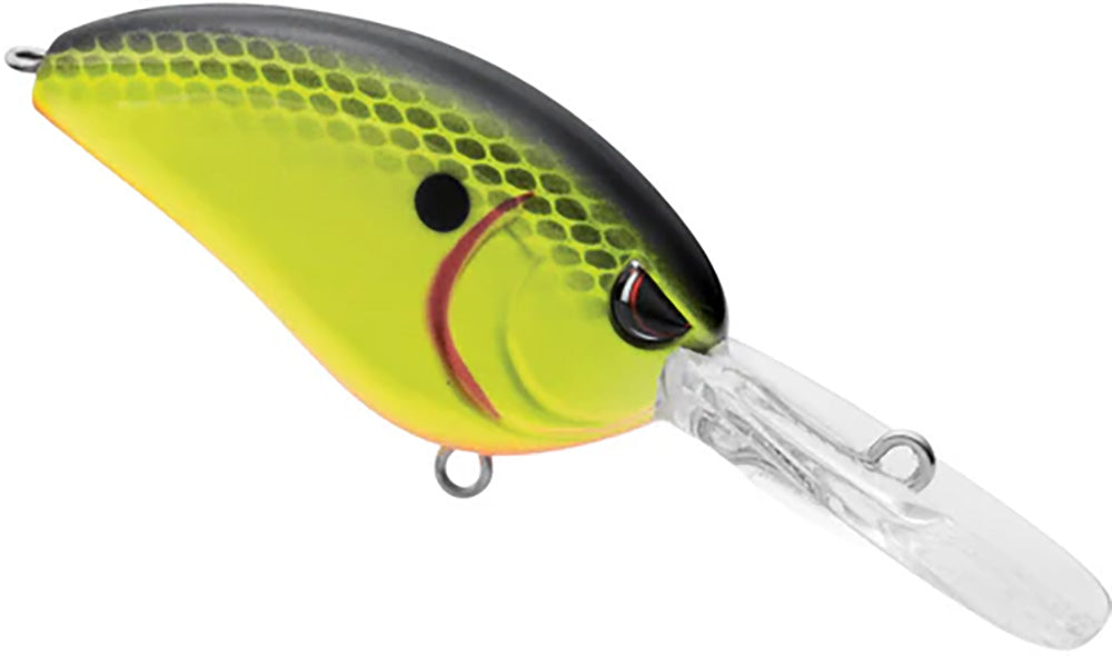 Chartreuse Black Back