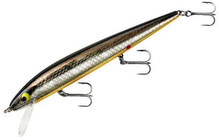 Chrome Black Orange Belly