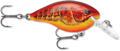 Rapala DT Series Crankbait DT4