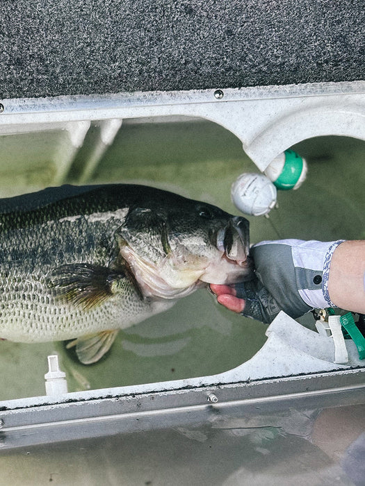 Discount Tackle Standard Fishing Gloves