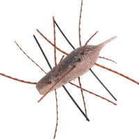 Ebi Kemushi