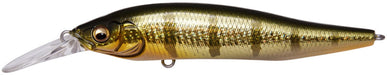 GG Baby Perch