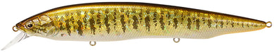 Megabass Kanata Jerkbait - GG Smallmouth Bass