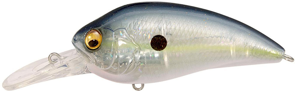 GP Sexy Shad