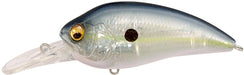 GP Sexy Shad