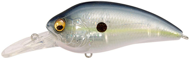 GP Sexy Shad