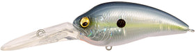 GP Sexy Shad