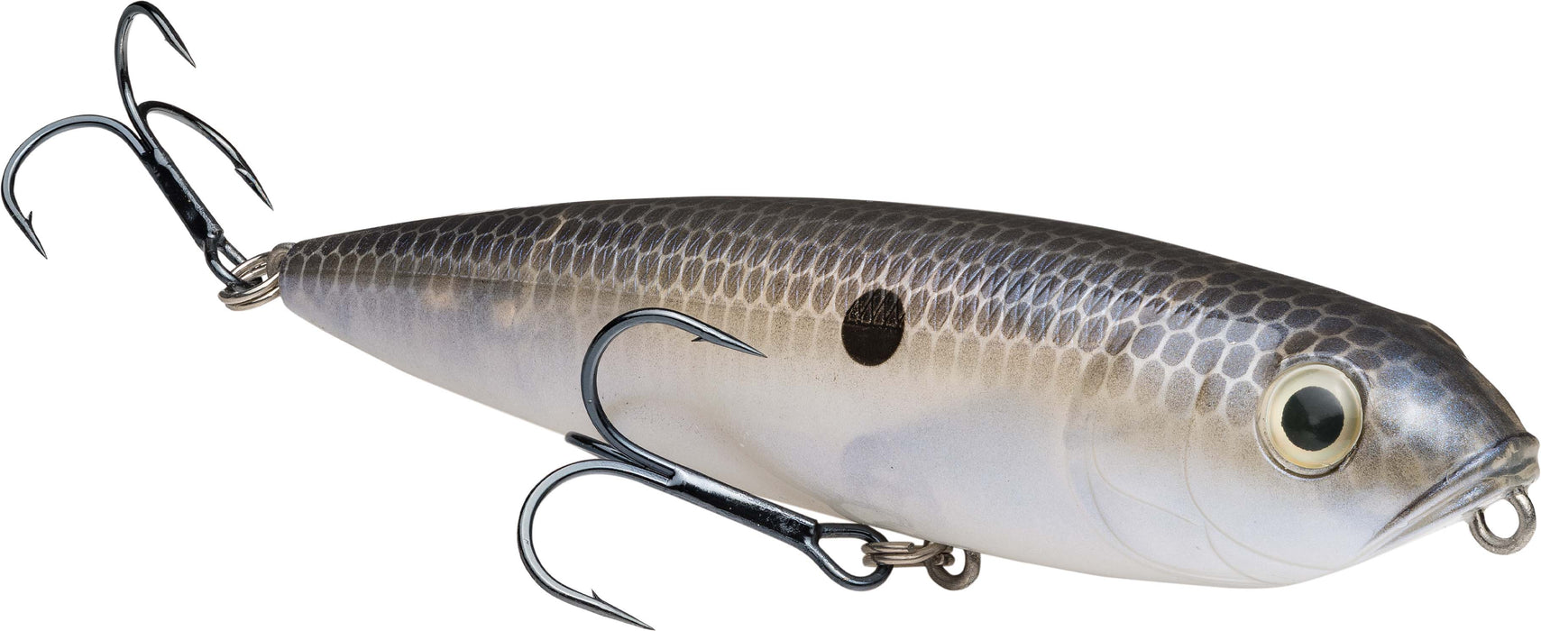 Blue Gizzard