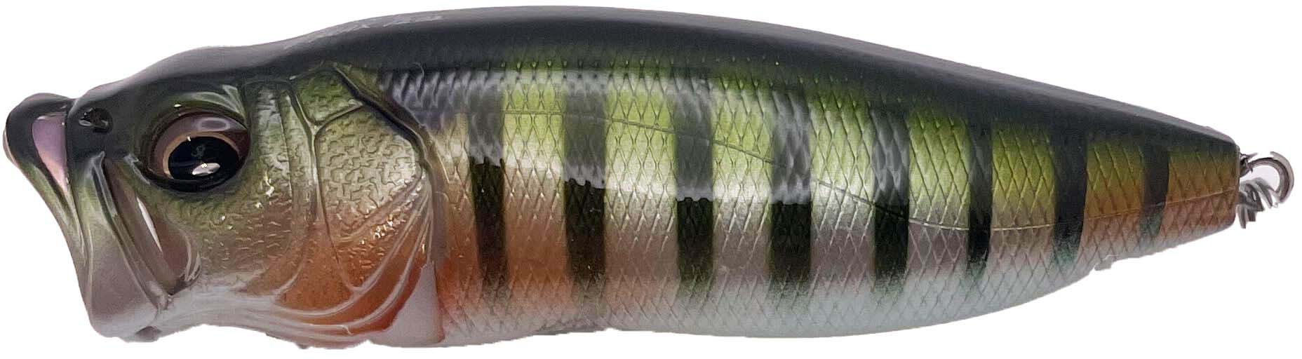Megabass PopMax Topwater Popper
