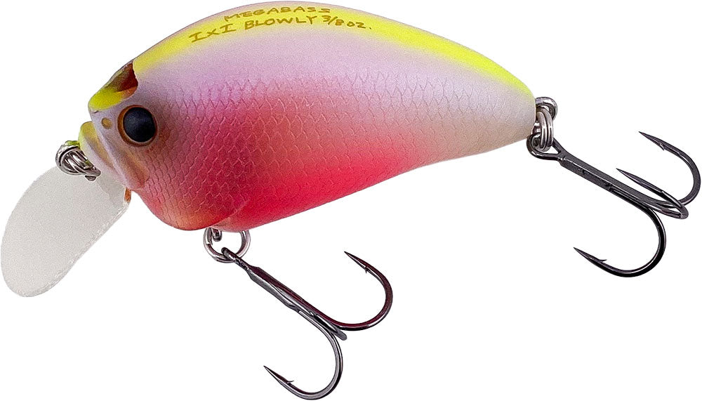Megabass Ixi Blowly - Baby Kingyo