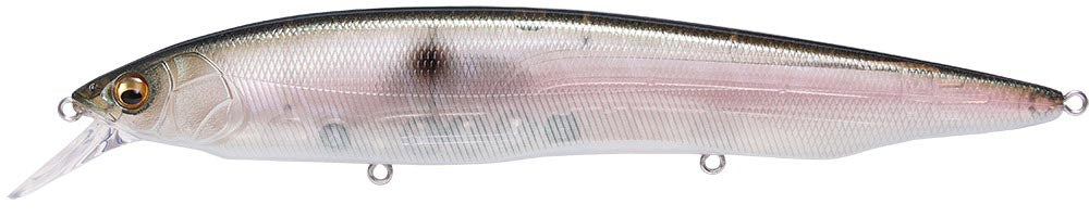 Megabass Kanata Jerkbait