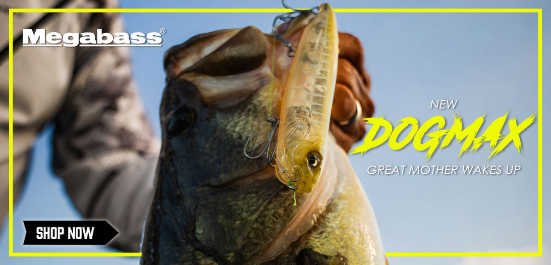 Shop NEW Megabass Here!