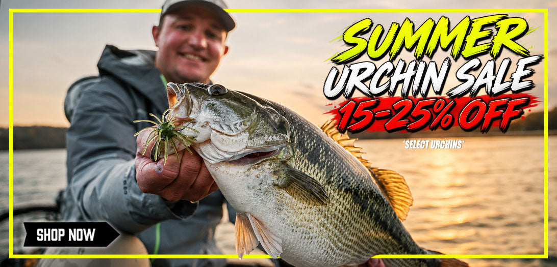 Save BIG on Urchins! 