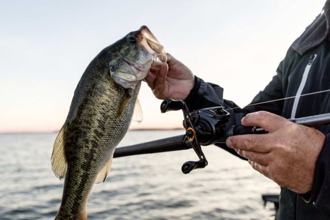 Lew's Speed Spool ITB 200 Baitcasting Reels
