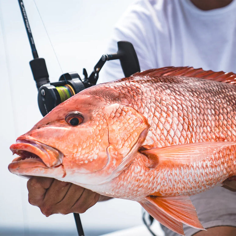 daiwa conventional reel red Saltiga Jigging Star Drag saltwater jigging reel Color:White providing improved control and Old School Potomac River