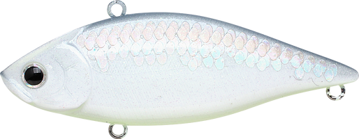 MS Gunmetal Shad
