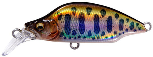 LZ Shiny Keimura Yamame - 2 inch