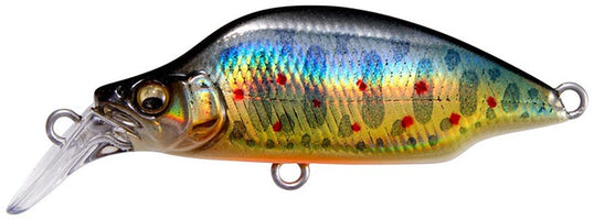 LZ Takumi Iwana - 2 inch