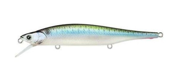 Live Threadfin Shad