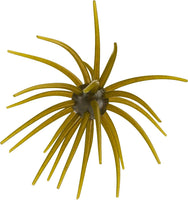 Hag's Baits Big Tex Prickly Pear - 25mm