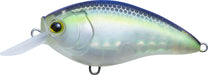 Matte Gizzard Shad - 2 inch - 1/4 oz
