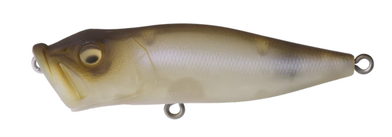 Megabass Pop-X Topwater Popper