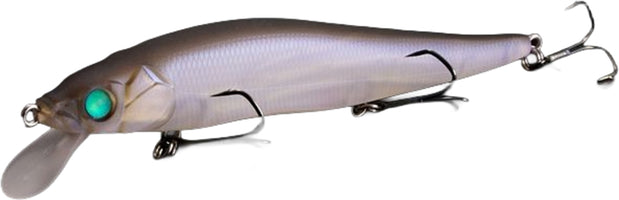 Respect Series - Frozen Shad