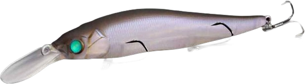 Respect Series - Frozen Shad