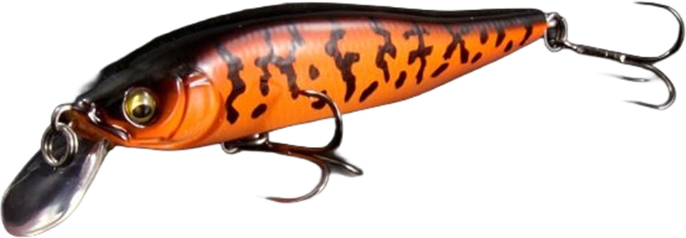 Respect Series - Mikkabi Coach