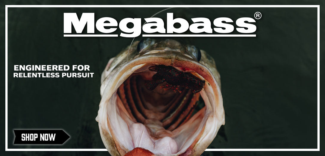Shop Megabass Here!