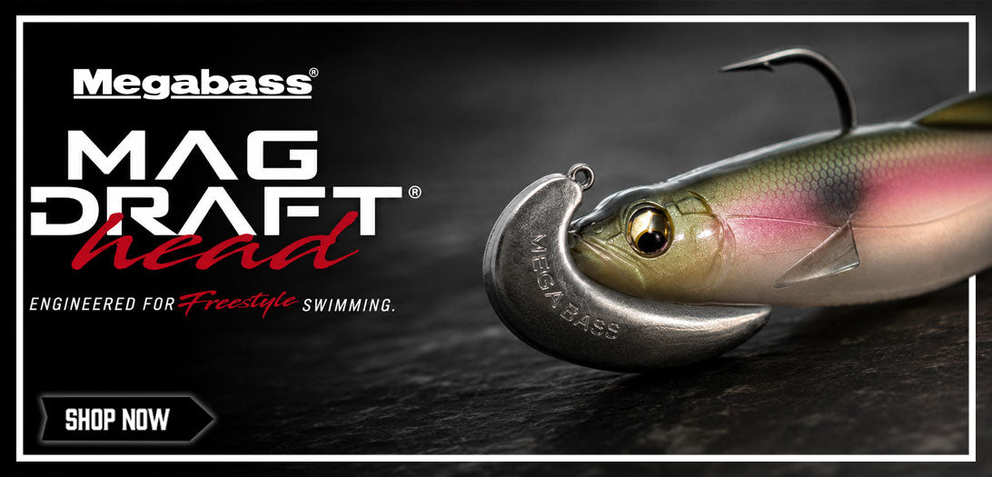 Shop Megabass Magdraft Head & More New Megabass!