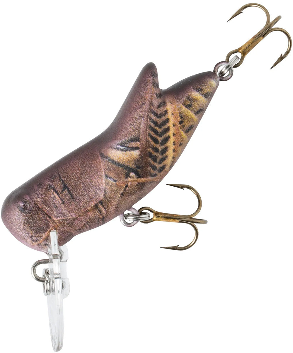 bream fish hooks for crickets Rebel Bighopper 1.75' Fire Tiger