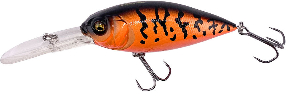 Respect Series - Mikkabi Coach