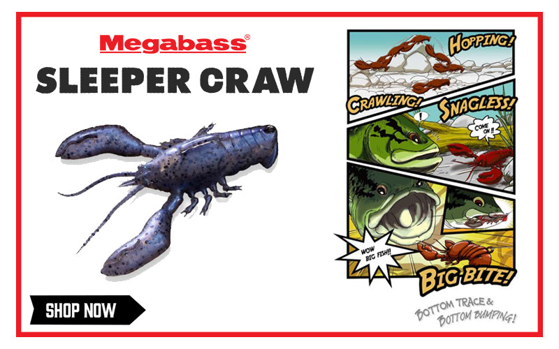Shop Sleeper Craw Here!