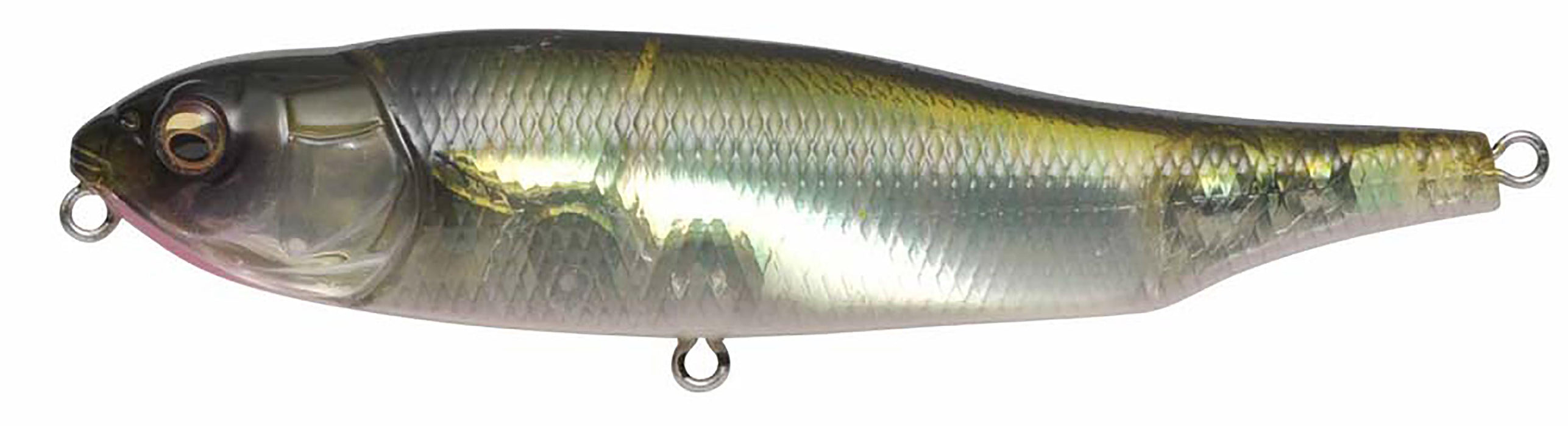 Megabass Giant Dog-X Topwater - NC Hasu