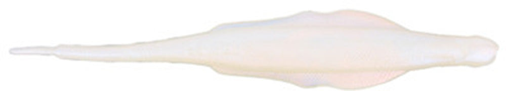 Nories 5.8 Inch Lady Balance Vibrating Jig Trailer - 6 Pack