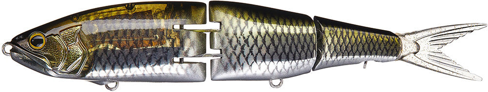Natural Shiner - 7.5 Inch