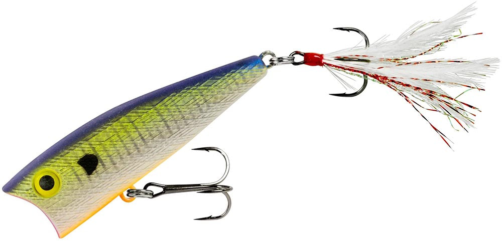 Blue Gill