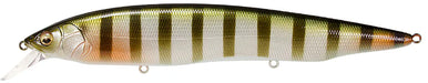 Megabass Kanata Jerkbait - PM BG