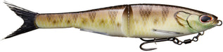 Perch, 11 inch