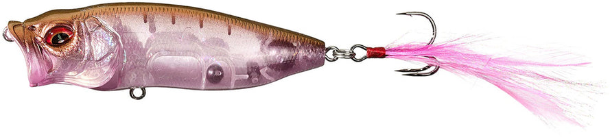 Respect Series - GP Sakura Illusion