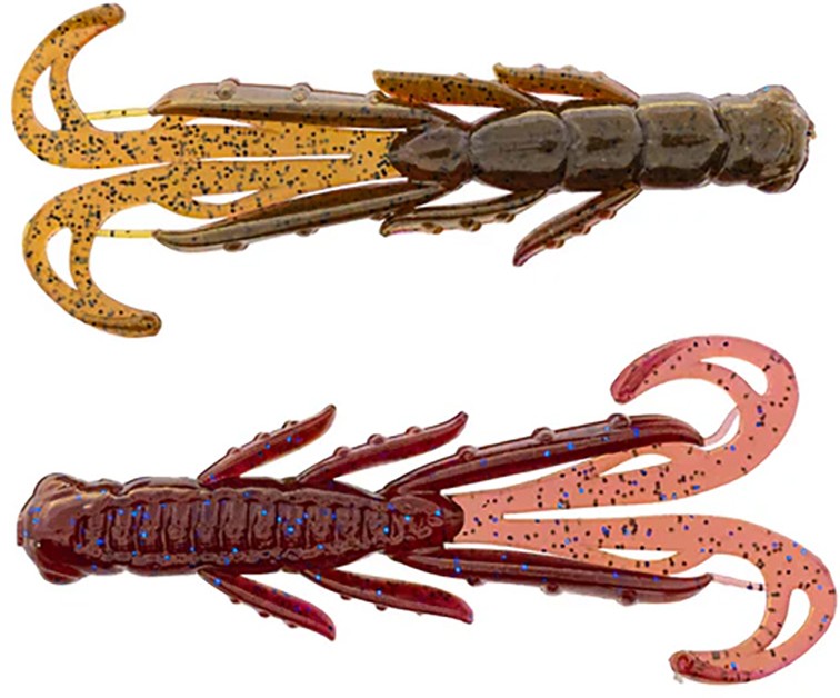 Pumpkin Plum Party - 2.75 inch